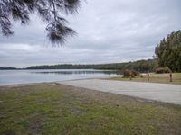 Gloomy Coastal Landscape with Jetty and Grey Sky