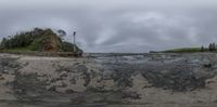 a sandy beach with a big piece of drift in the water at low tide with some trees and small islands in the background