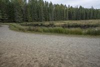 Gloomy Coastal Plain in Ontario, Canada