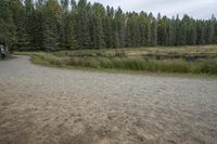 Gloomy Coastal Plain in Ontario, Canada