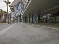 a sidewalk with palm trees and large glass windows in the front of a building area