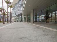 a sidewalk with palm trees and large glass windows in the front of a building area