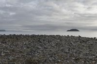 Gloomy Dawn on Coastal Shore with Low Grey Clouds - 002