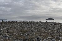 Gloomy Dawn Over Coastal Shore with Low Grey Clouds