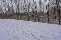 tracks are shown in the snow along a trail through the woods to the top of the hill