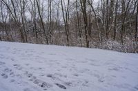 tracks are shown in the snow along a trail through the woods to the top of the hill