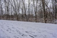 tracks are shown in the snow along a trail through the woods to the top of the hill