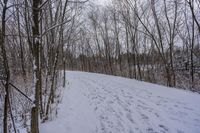 tracks are shown in the snow along a trail through the woods to the top of the hill