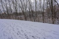 tracks are shown in the snow along a trail through the woods to the top of the hill