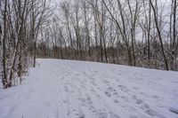 tracks are shown in the snow along a trail through the woods to the top of the hill