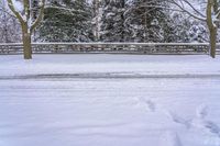 Gloomy Dawn in Rural Ontario 002