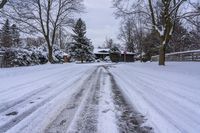 Gloomy Dawn in Toronto, Canada: Residential Road in a Freezing Landscape