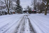 Gloomy Dawn in Toronto, Canada: Residential Road in a Freezing Landscape