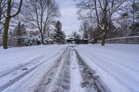 Gloomy Dawn in Toronto, Canada: Residential Road in a Freezing Landscape