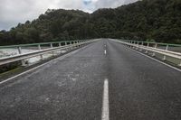 A Gloomy Day on the Asphalt Road Under Grey Skies