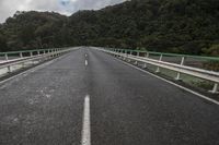 A Gloomy Day on the Asphalt Road Under Grey Skies