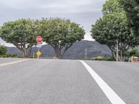 A Gloomy Day: Asphalt Road and Parking Deck