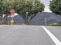 A Gloomy Day: Asphalt Road and Parking Deck