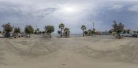 three people on skateboards at the beach with a cloudy sky overhead and palm trees