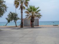 A Gloomy Day in Barcelona, Spain: Exploring the Coastline