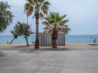 A Gloomy Day in Barcelona, Spain: Exploring the Coastline