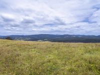 a field full of rocks and plants with mountains in the background under cloudy skies in the distance