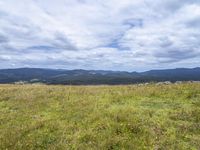 a field full of rocks and plants with mountains in the background under cloudy skies in the distance