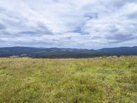 a field full of rocks and plants with mountains in the background under cloudy skies in the distance