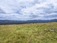 a field full of rocks and plants with mountains in the background under cloudy skies in the distance