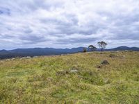 a field full of rocks and plants with mountains in the background under cloudy skies in the distance