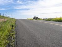 A Gloomy Day in California: Green Fields and Grey Skies