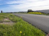 A Gloomy Day in California: Green Fields and Grey Skies