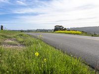 A Gloomy Day in California: Green Fields and Grey Skies