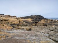 the rocks are rocky with yellow stains on them and a bird in it standing by