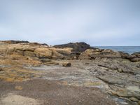 the rocks are rocky with yellow stains on them and a bird in it standing by