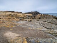 the rocks are rocky with yellow stains on them and a bird in it standing by