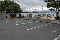 a street next to a parking space with benches and trees near it in front of the water