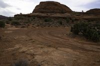 dirt covered landscape with a rocky cliff in the background and sparse brush on ground below