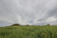 an airplane is flying above the grassy area in the sky with many clouds surrounding it