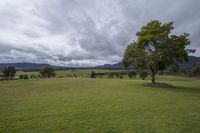 a view of a pasture with trees in the background and mountains in the distance with clouds overhead