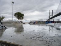 the skate park has been left on the road with graffiti sprays and trees in the background