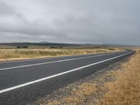 an empty highway on a cloudy day with grass and weeds along the side of the road