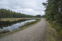 a long gravel road with an empty pathway leading into the woods and a water stream near it