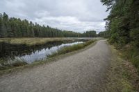 a long gravel road with an empty pathway leading into the woods and a water stream near it