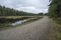 a long gravel road with an empty pathway leading into the woods and a water stream near it