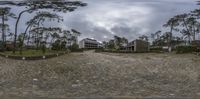 a fish eye lens is displayed to show a view of an area with trees and houses