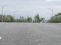 a skate boarder skating on a road in the woods, with street lights in background