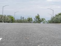 a skate boarder skating on a road in the woods, with street lights in background