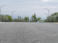 a skate boarder skating on a road in the woods, with street lights in background