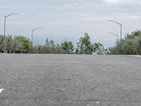 a skate boarder skating on a road in the woods, with street lights in background